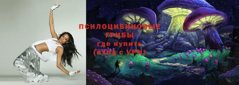 купить  цена  Андреаполь  Галлюциногенные грибы Cubensis 